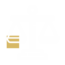 BSS & Co Law ico2